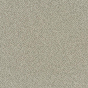 Maxwell Fabric Scene # 737 Crater