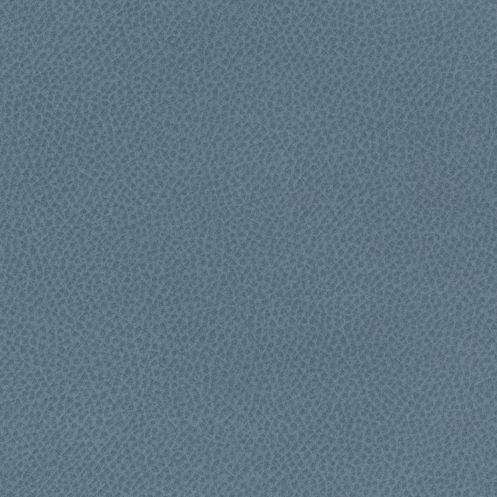 Scene # 754 Ontario by Maxwell Designer Fabric Easy Rider Vii FACE: 95% POLYURETHANE/ 5% SILICONE
BACKING:100% POLYESTER TAIWAN 54" - Swanky Fabrics -