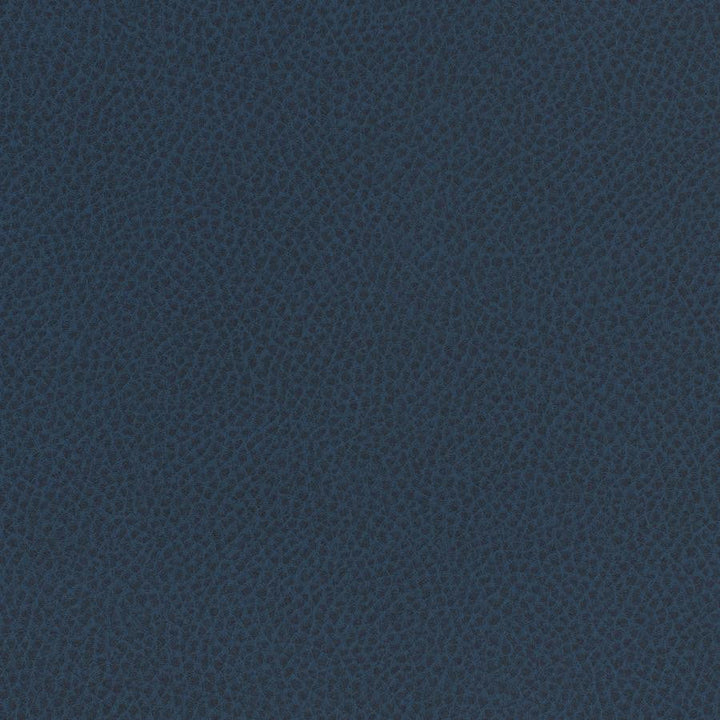 Scene # 761 Admiral by Maxwell Designer Fabric Easy Rider Vii FACE: 95% POLYURETHANE/ 5% SILICONE
BACKING:100% POLYESTER TAIWAN 54" - Swanky Fabrics -