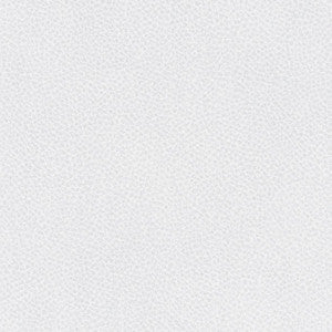 Maxwell Fabric Scene # 789 Iceberg