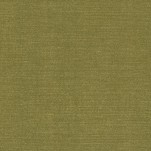 Maxwell Fabric Sambal-Nj # 1089 Basil