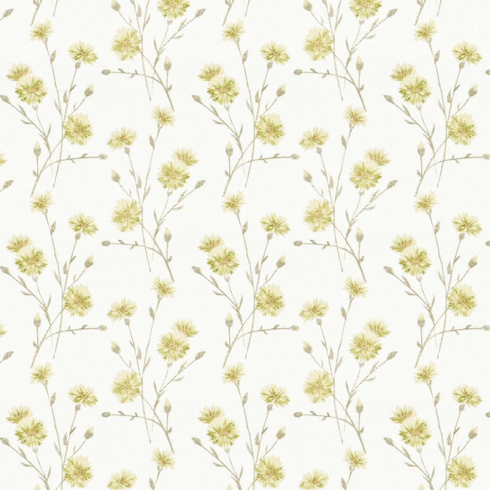 Snazzy 1 Taupe by Stout Fabric Stout Fabric Snazzy 1 TaupeFabric RAINBOW LIBRARY TOAST/DRIFTWOOD INDIA </p><p>Repeat: H: 10.375, V: 9.250 51.87 in - Fabric Carolina -