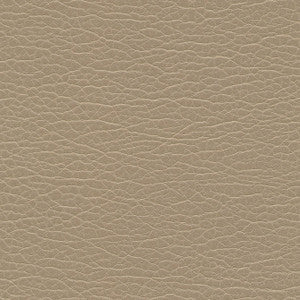 Maxwell Fabric Spire-Nj # 1196 Edo