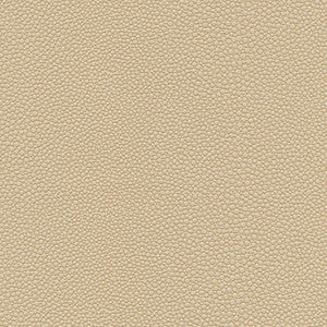 Maxwell Fabric Stingray-Nj # 1064 Sand Dollar