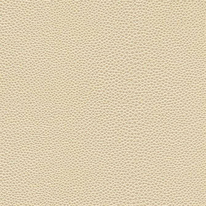Stingray-Nj # 1067 Seashell by Maxwell Designer Fabric Memos Only-Coated Fabrics FACE: 100% PVC
BACKING: 65% POLYESTER
35% COTTON KOREA 54" - Swanky Fabrics -