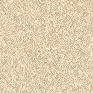 Maxwell Fabric Stingray-Nj # 1067 Seashell