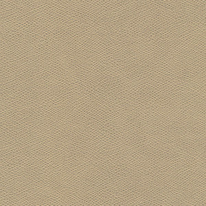 Maxwell Fabric Surabaya-Nj # 663 Archive