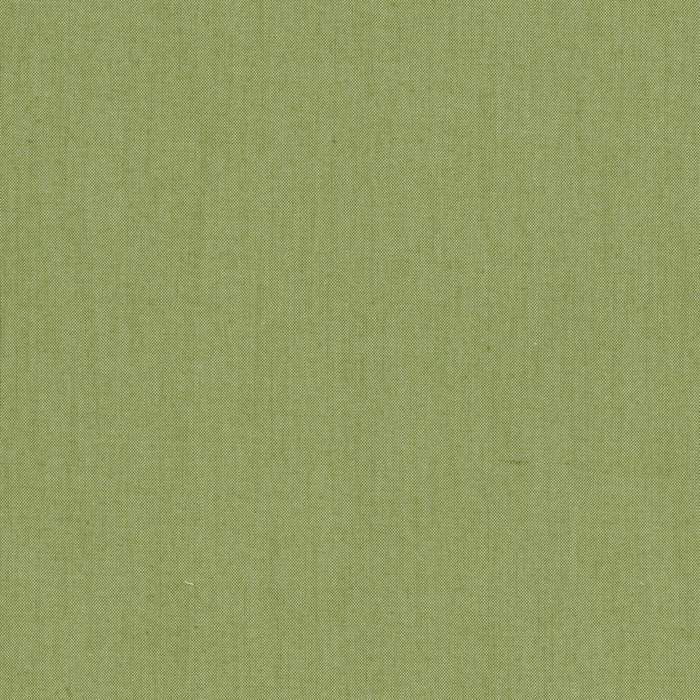Snuggle 2 Clover by Aoc Fabric Aoc Fabric Snuggle 2 CloverFabric COMFORTABLE LIVING SAGE/MOSS 100%POL INDIA </p><p>Repeat: H: 0.000, V: 0.000 54 in - Fabric Carolina -