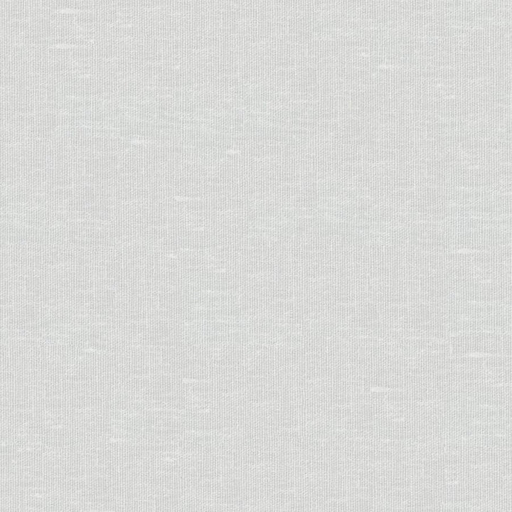 Sandro # 105 Eggshell by Maxwell Designer Fabric Wide Width Basics Ii 74% RECYCLED POLYESTER
26% LINEN INDIA 121" - Swanky Fabrics -