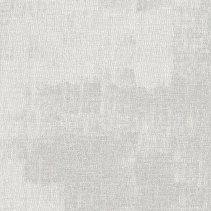 Sandro # 107 Angora by Maxwell Designer Fabric Wide Width Basics Ii 74% RECYCLED POLYESTER
26% LINEN INDIA 121" - Swanky Fabrics -