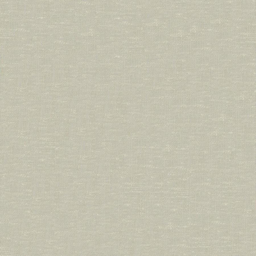 Sandro # 113 Pear by Maxwell Designer Fabric Wide Width Basics Ii 74% RECYCLED POLYESTER
26% LINEN INDIA 121" - Swanky Fabrics -