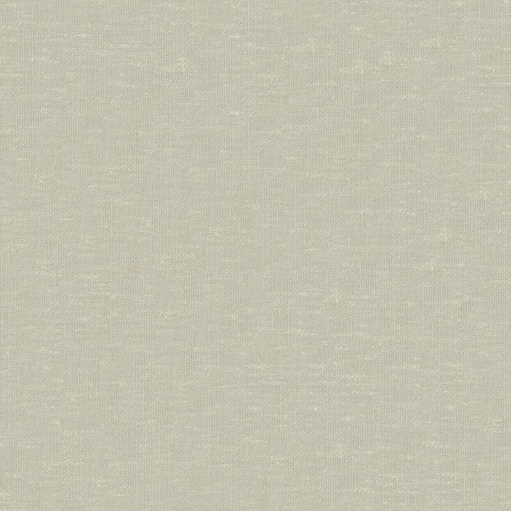 Sandro # 113 Pear by Maxwell Designer Fabric Wide Width Basics Ii 74% RECYCLED POLYESTER
26% LINEN INDIA 121" - Swanky Fabrics -