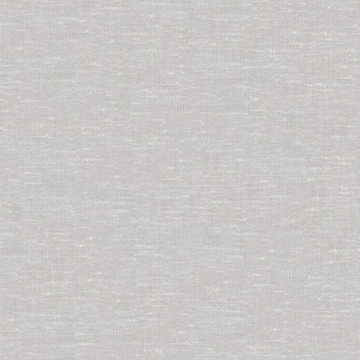 Sandro # 132 Pumice by Maxwell Designer Fabric Wide Width Basics Ii 74% RECYCLED POLYESTER
26% LINEN INDIA 121" - Swanky Fabrics -