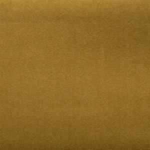 Sonic Lion by Norbar Designer Fabric SONIC 100% POLYESTER CHINA 57 - Swanky Fabrics -
