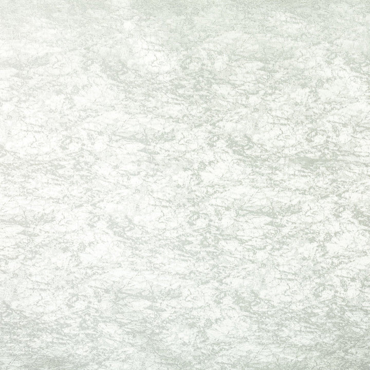 Sosie 2 Platinum by Marcus William Designer Fabric MARCUS WILLIAM CURIOSITIES 100%POL ITALY MARTINDALE WEAR TEST (50 000 CIRCULAR RUBS) Horizontal: 13.750 and Vertical: 9.000 55 in - Swanky Fabrics -