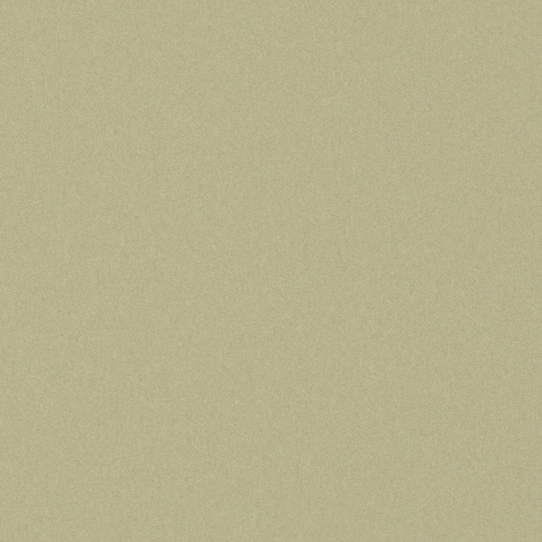 Starlet # 707 Bronze by Maxwell Designer Fabric Pure & Simple Xix 59% ORGANIC COTTON 41% RECYCLED POLYSTER INDIA 54" - Swanky Fabrics -
