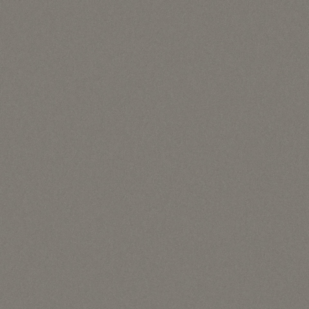 Starlet # 720 Gargoyle by Maxwell Designer Fabric Pure & Simple Xix 59% ORGANIC COTTON 41% RECYCLED POLYSTER INDIA 54" - Swanky Fabrics -