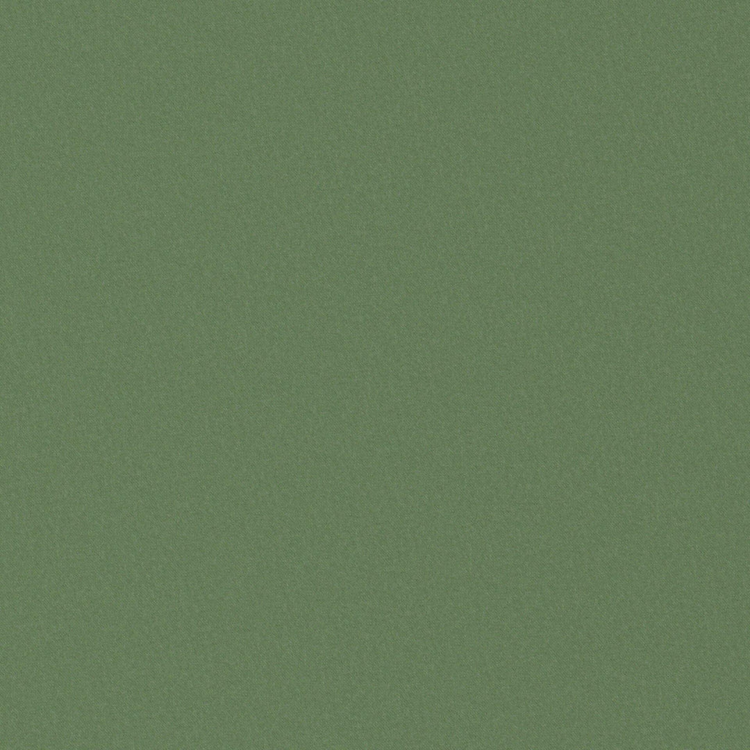 Starlet # 732 Fern by Maxwell Designer Fabric Pure & Simple Xix 59% ORGANIC COTTON 41% RECYCLED POLYSTER INDIA 54" - Swanky Fabrics -