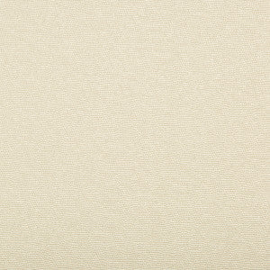 Kravet Fabric Spartan Pearl
