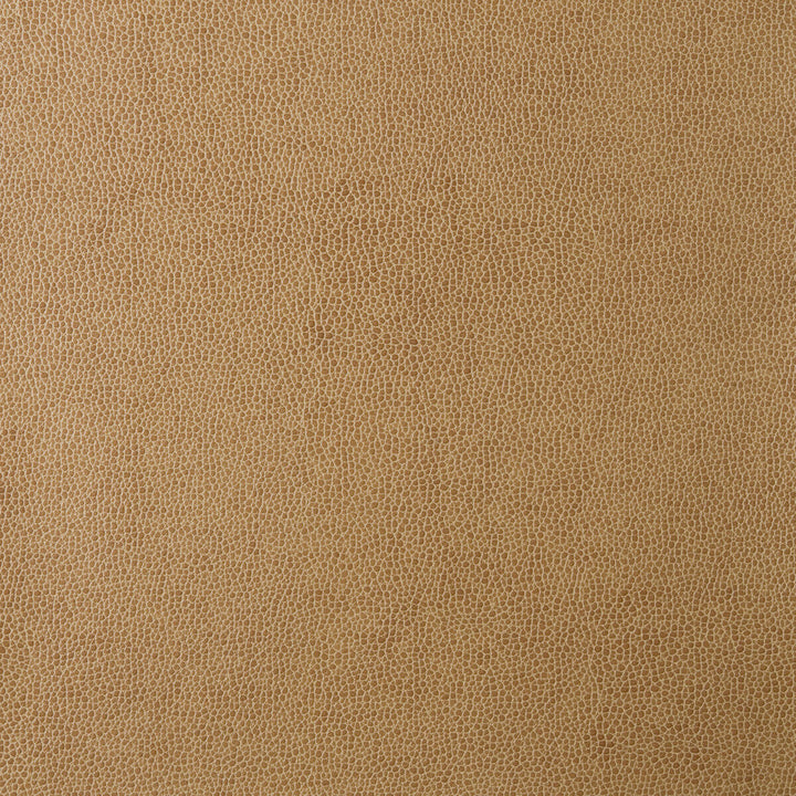 Sparta-16 by Kravet Design Designer Fabric POLYESTER - 55%;POLYURETHANE - 45% Korea, Republic of HEAVY Horizontal: 0 and Vertical: 0 54 - Swanky Fabrics -