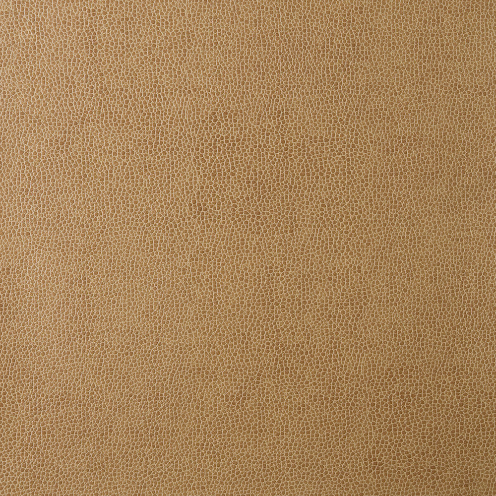 Sparta-16 by Kravet Design Designer Fabric - POLYESTER - 55%;POLYURETHANE - 45% Korea, Republic of HEAVY Horizontal: 0 and Vertical: 0 54 - Swanky Fabrics -