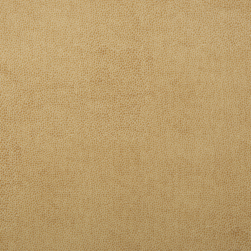Kravet Design Sparta-1 by Kravet Design Fabric Kravet Design Fabric Kravet Design Sparta-1Fabric POLYESTER - 55%;POLYURETHANE - 45% Korea, Republic of </p><p>Repeat: H: 0, V: 0 54 - Fabric Carolina -