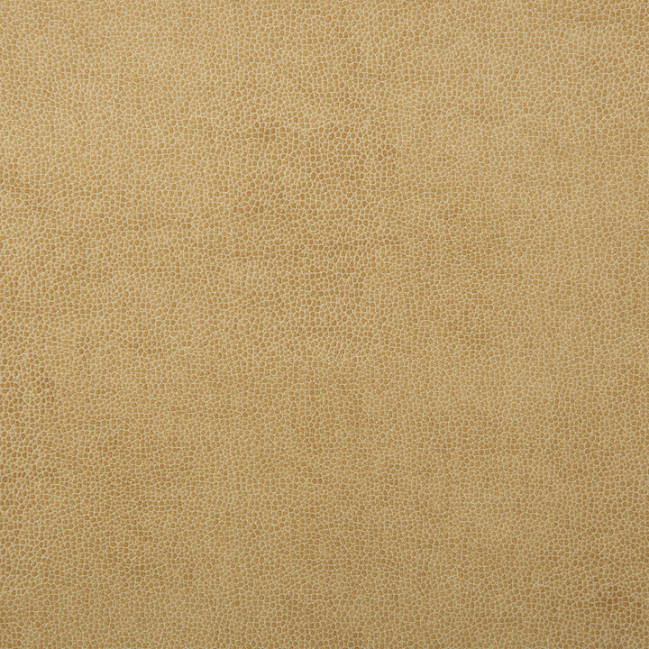 Kravet Design Sparta-1 by Kravet Design Fabric Kravet Design Fabric Kravet Design Sparta-1Fabric POLYESTER - 55%;POLYURETHANE - 45% Korea, Republic of </p><p>Repeat: H: 0, V: 0 54 - Fabric Carolina -