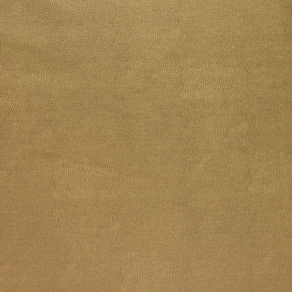 Sparta-404 by Kravet Design Designer Fabric POLYESTER - 55%;POLYURETHANE - 45% Korea, Republic of HEAVY Horizontal: 0 and Vertical: 0 54 - Swanky Fabrics -