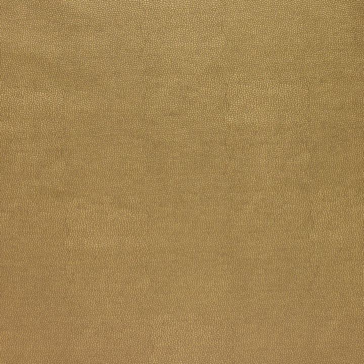 Kravet Design Sparta-404 by Kravet Design Fabric Kravet Design Fabric Kravet Design Sparta-404Fabric POLYESTER - 55%;POLYURETHANE - 45% Korea, Republic of </p><p>Repeat: H: 0, V: 0 54 - Fabric Carolina -
