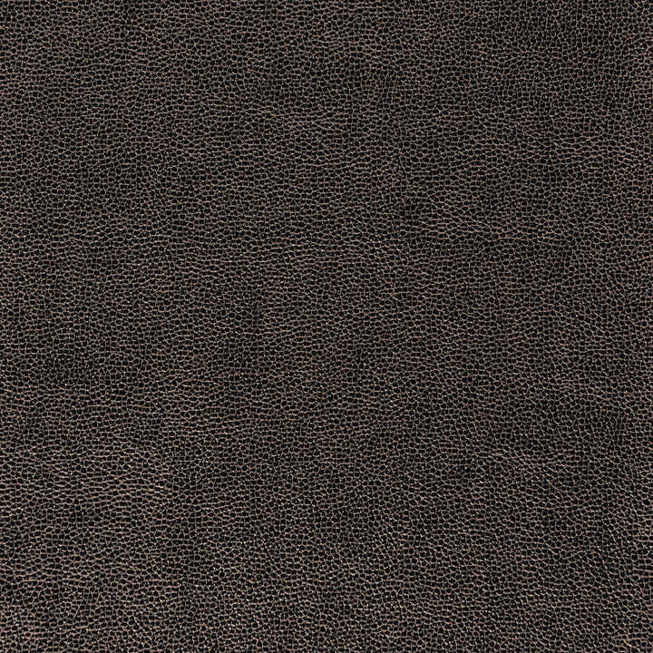 Sparta-811 by Kravet Design Designer Fabric POLYESTER - 55%;POLYURETHANE - 45% Korea, Republic of HEAVY Horizontal: 0 and Vertical: 0 54 - Swanky Fabrics -