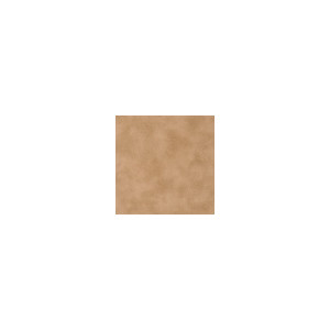 Kravet Fabric Spur Pecan