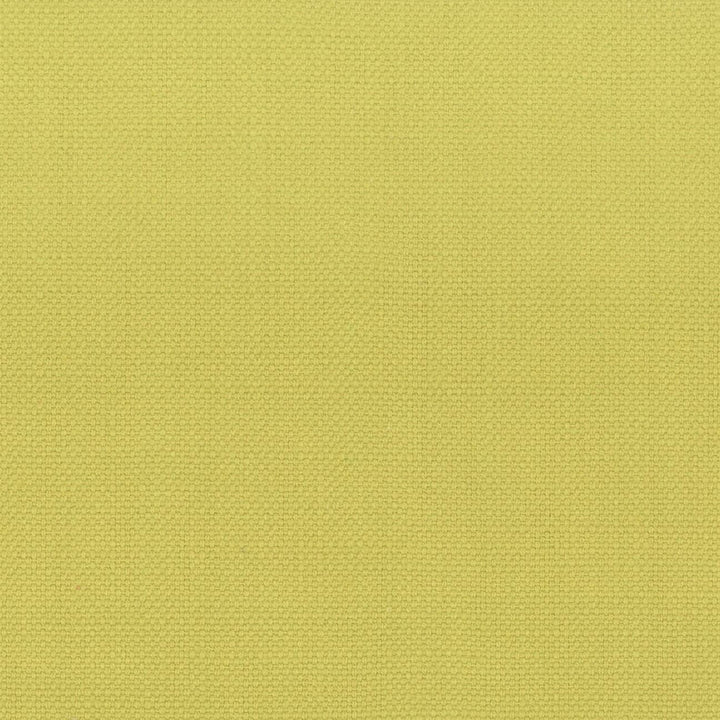 Stanford 10 Citrine by Stout Designer Fabric A LA MODE 100%COT INDIA MARTINDALE WEAR TEST (20 000 CIRCULAR RUBS) Horizontal: 0.000 and Vertical: 0.000 54 in - Swanky Fabrics -