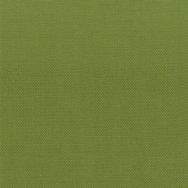 Stanford 14 Lime by Stout Fabric Stout Fabric Stanford 14 LimeFabric A LA MODE INDIA </p><p>Repeat: H: 0.000, V: 0.000 54 in - Fabric Carolina -