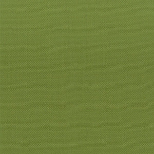 Stout Fabric Stanford 14 Lime