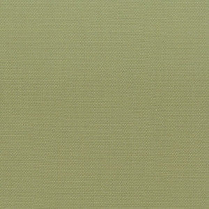 Stout Fabric Stanford 1 Pistachio