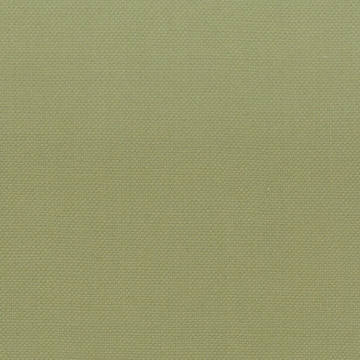 Stanford 1 Pistachio by Stout Fabric Stout Fabric Stanford 1 PistachioFabric A LA MODE 100%COT INDIA </p><p>Repeat: H: 0.000, V: 0.000 54 in - Fabric Carolina -