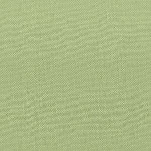 Stout Fabric Stanford 22 Pear