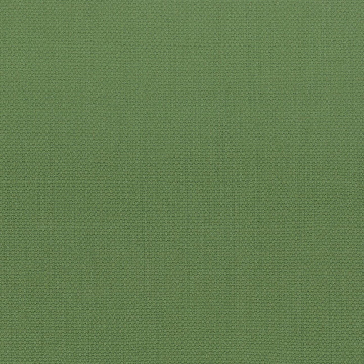 Stanford 27 Grass by Stout Designer Fabric A LA MODE 100%COT INDIA Horizontal: 0 and Vertical: 0 54 in - Swanky Fabrics -