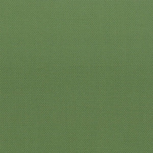 Stout Fabric Stanford 27 Grass