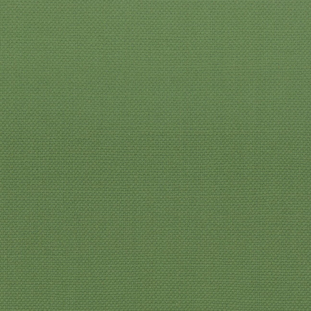 Stanford 27 Grass by Stout Fabric Stout Fabric Stanford 27 GrassFabric A LA MODE INDIA </p><p>Repeat: H: 0.000, V: 0.000 54 in - Fabric Carolina -
