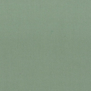 Stout Fabric Stanford 28 Aloe