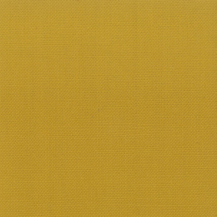 Stanford 30 Topaz by Stout Designer Fabric A LA MODE 100%COT INDIA Horizontal: 0 and Vertical: 0 54 in - Swanky Fabrics -