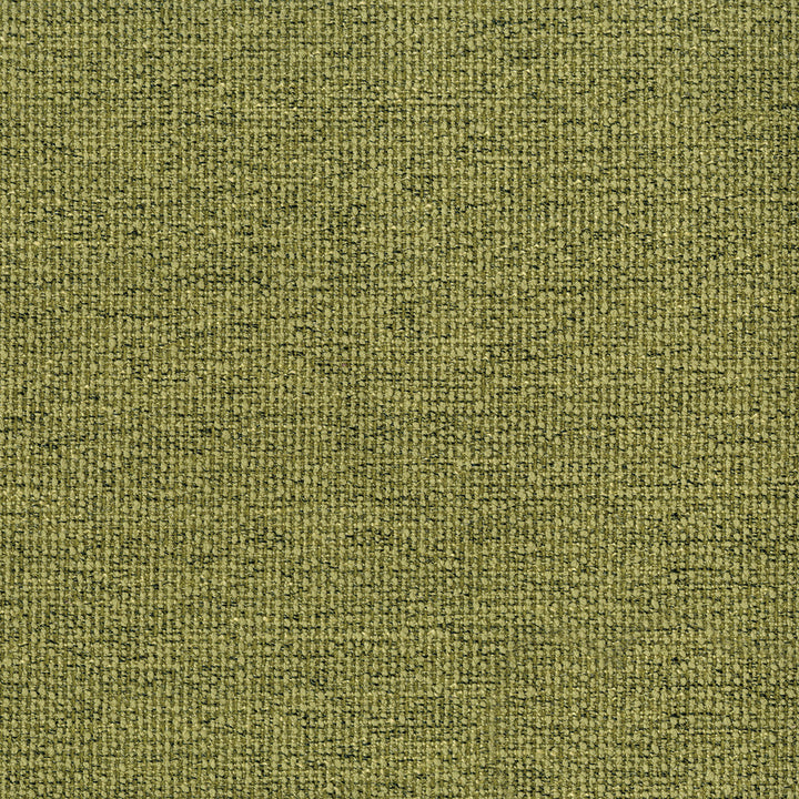 Northern 205 Pistachio by ABBEYSHEA Designer Fabric N/A 100% Polyester China 12,000 Double Rubs </p><p>Repeat: Horizontal: and Vertical: 57" (144 cm) - Swanky Fabrics -