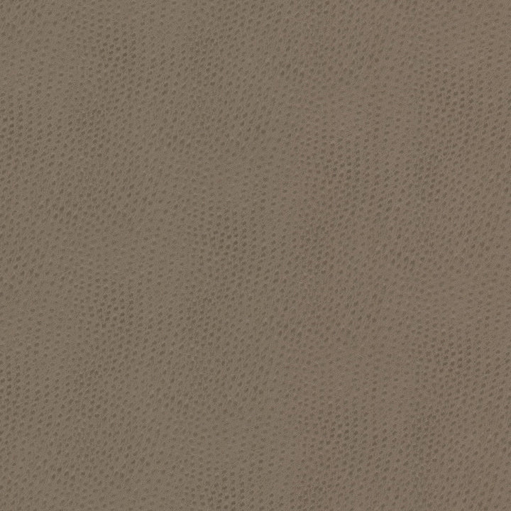 Steeplechase 1 Putty by Stout Fabric Stout Fabric Steeplechase 1 PuttyFabric LEATHER LOOKS V 100%POU 1%OTH KOREA </p><p>Repeat: H: 0.000, V: 0.000 54 in - Fabric Carolina -