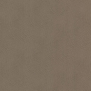 Stout Fabric Steeplechase 1 Putty