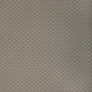 Kravet Fabric Stein Porcini STEIN.11.0