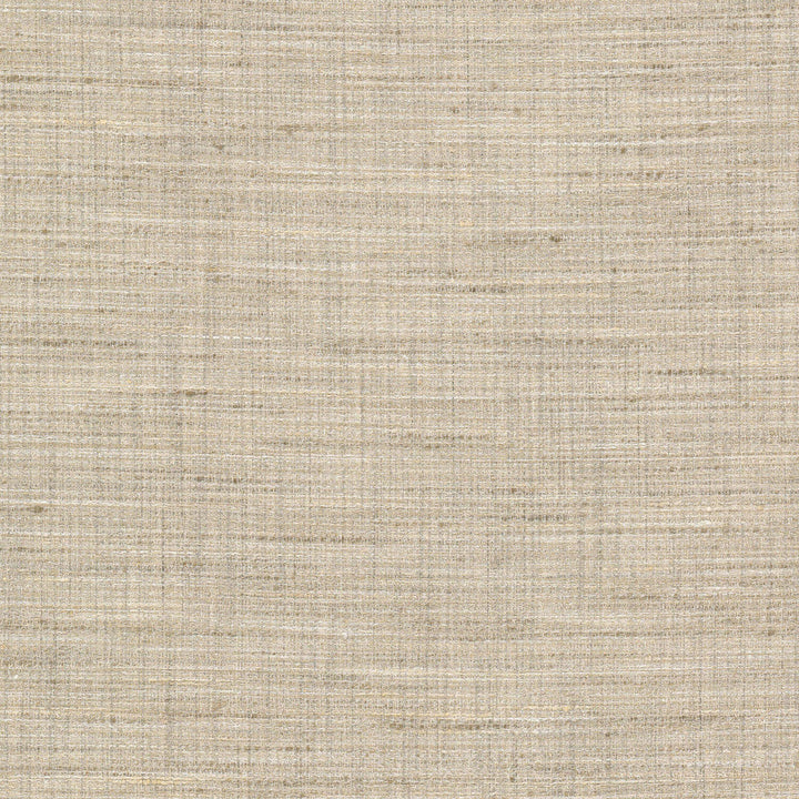 Stopper 1 Champagne by Stout Fabric Stout Fabric Stopper 1 ChampagneFabric RAINBOW LIBRARY SANDUNE/DESERT 100%POL INDIA </p><p>Repeat: H: 0.000, V: 0.000 55 in - Fabric Carolina -