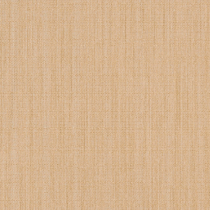 Strathroy 11J7031 by JF Crypton Designer Fabric Crypton Binder 100% Polyester Taiwan 50000 Horizontal: and Vertical: 54 - Swanky Fabrics -
