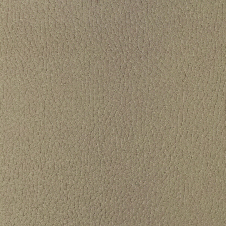 Sugarmaple-16 by Kravet Design Designer Fabric POLYCARBONATE - 100% Japan HEAVY Horizontal: 0 and Vertical: 0 54 - Swanky Fabrics -