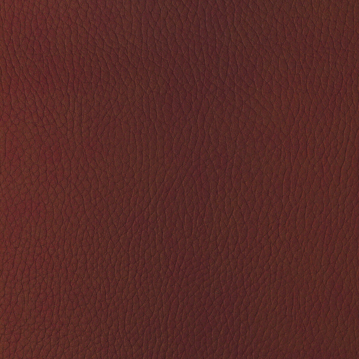 Kravet Design Sugarmaple-19 by Kravet Design Fabric Kravet Design Fabric Kravet Design Sugarmaple-19Fabric POLYCARBONATE - 100% Japan </p><p>Repeat: H: 0, V: 0 54 - Fabric Carolina -